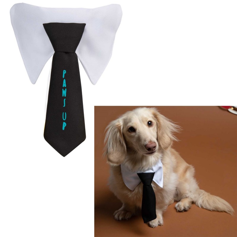 Paws & Claws Pet Neck Tie Collar 1 Paws & Claws Pet Neck Tie Collar 1