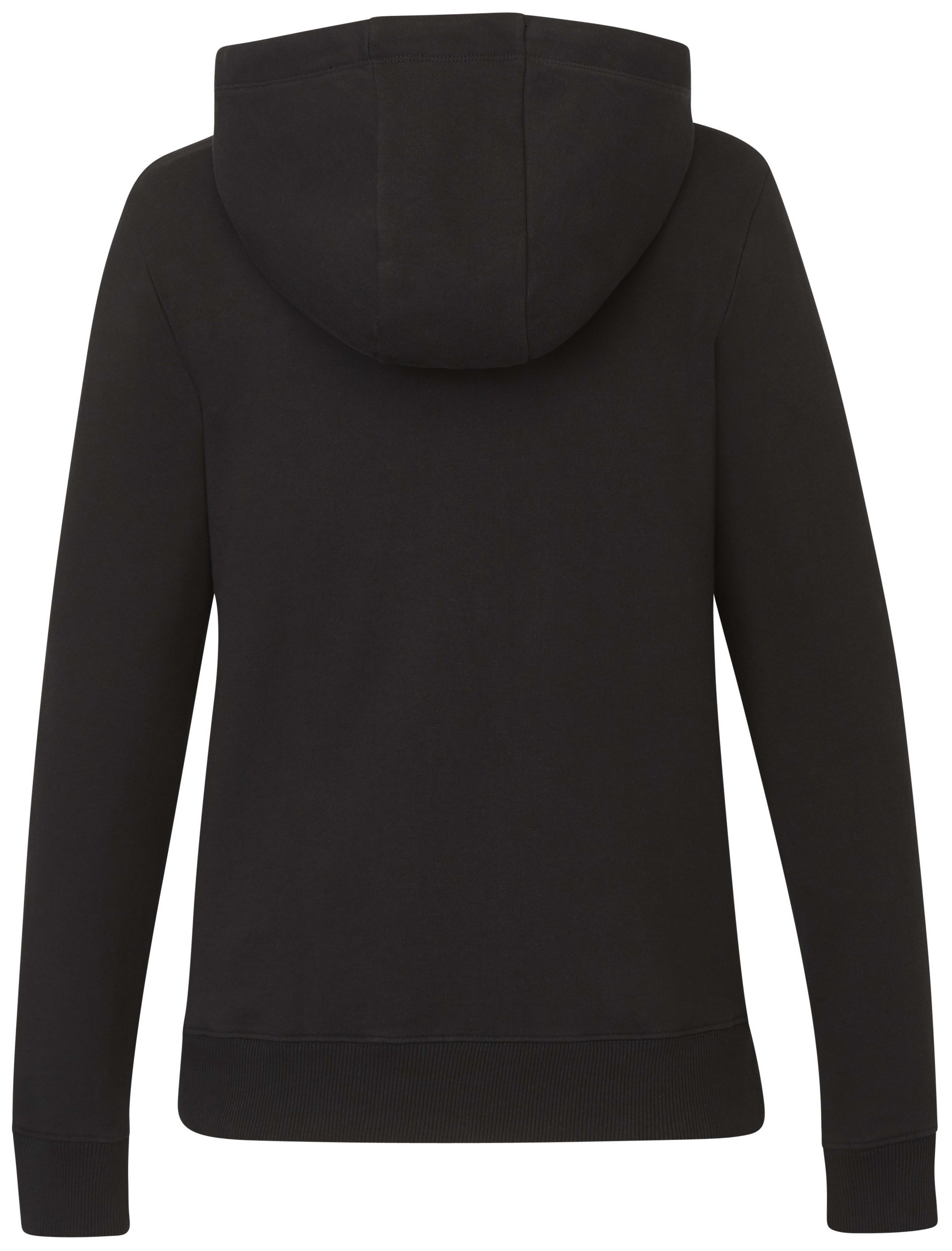 Women's tentree Organic Cotton Banshee Hoodie 1