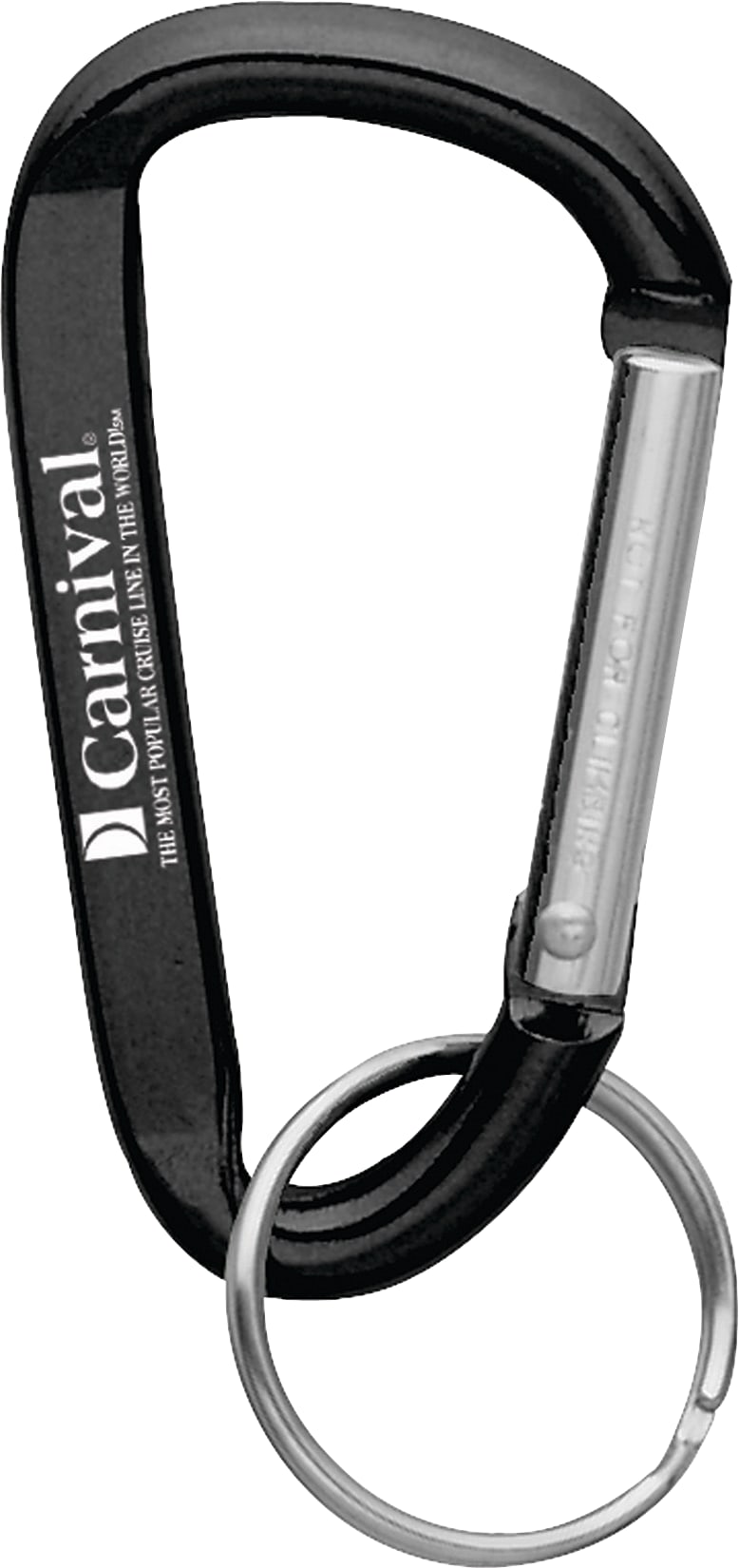 Small Carabiner Key Ring 1 Small Carabiner Key Ring 1