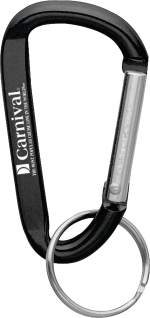 Small Carabiner Key Ring 1 Small Carabiner Key Ring 1