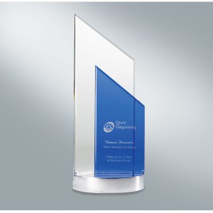 Bergen Cobalt Optically Perfect Award 1 Bergen Cobalt Optically Perfect Award 1
