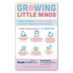 Rectangle Magnet 5 x 8 1 Rectangle Magnet 5 x 8 1