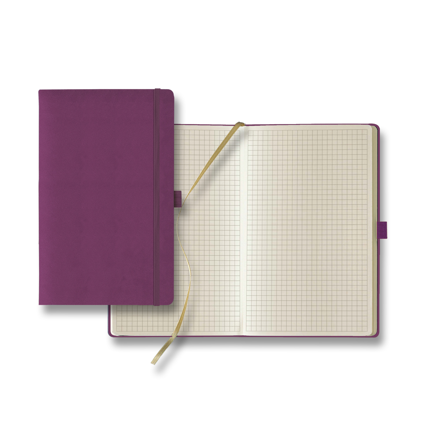 Castelli Tucson Medio Graph Ivory Page Journal 1