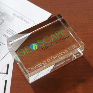 Rectangle Paperweight Award 1 Rectangle Paperweight Award 1
