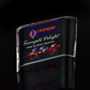 Acrylic Crescent (4 x 6) 1 Acrylic Crescent (4 x 6) 1