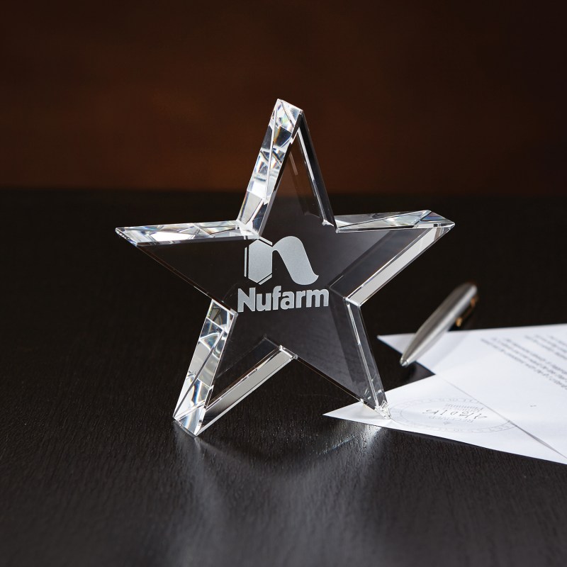 Crystal Star Paperweight 1 Crystal Star Paperweight 1