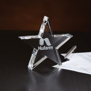 Crystal Star Paperweight 1 Crystal Star Paperweight 1