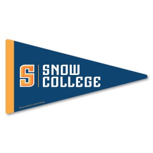 Pennant Car Sign Magnet 7.125 x 3.75 1 Pennant Car Sign Magnet 7.125 x 3.75 1