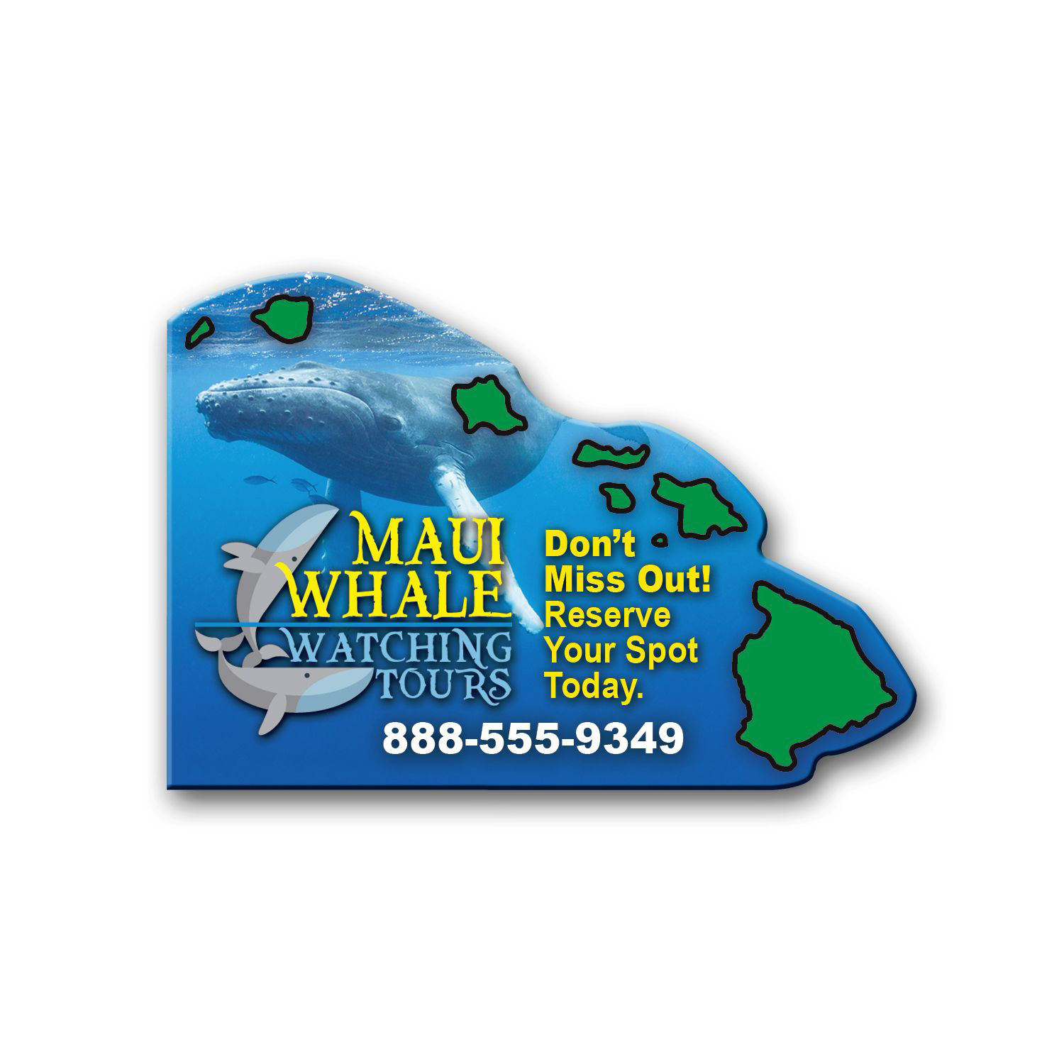 Hawaii State Magnet 1