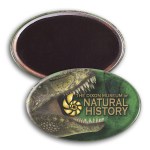 Oval Button w/ Magnet - Custom Oval Button w/ Magnet - Custom