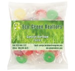 Large Snack Bag with Rectangle Magnet Premium Fill - Life Savers™ Large Snack Bag with Rectangle Magnet Premium Fill - Life Savers™