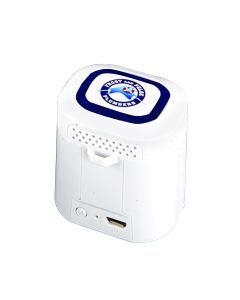 Light Ring Bluetooth (R) Speaker 1