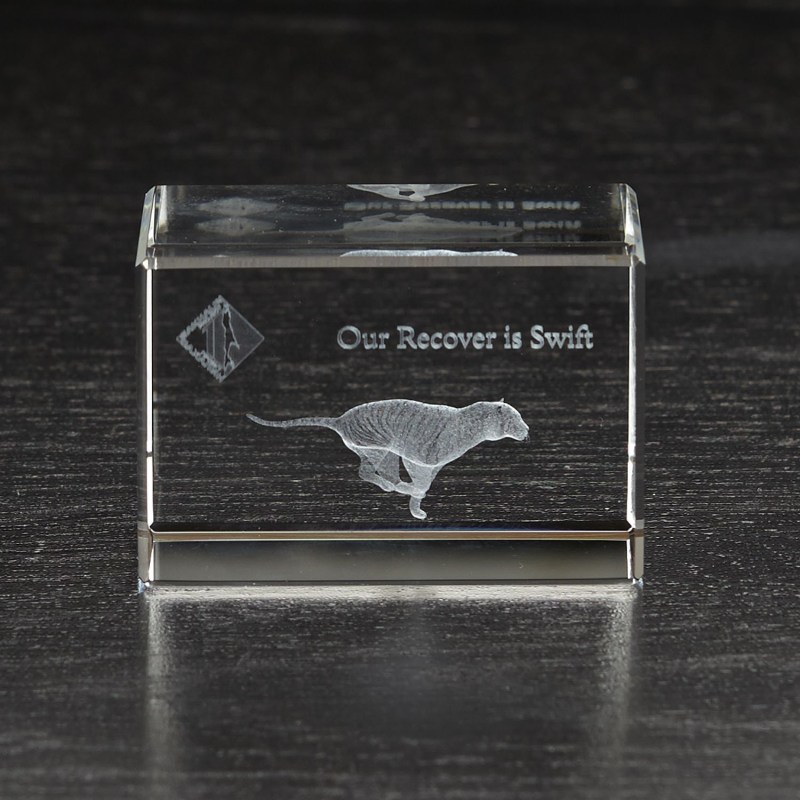 Small Block 3D Crystal Award 1 Small Block 3D Crystal Award 1