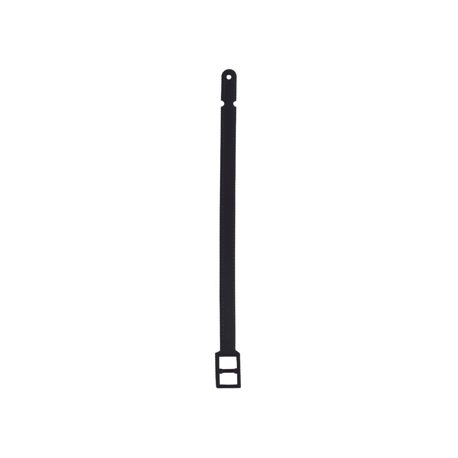 Lock Strap 1