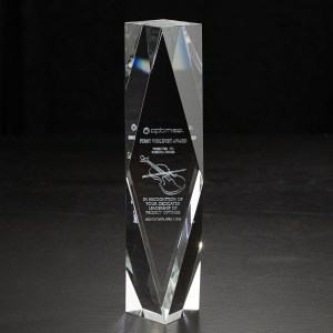 Small Chairmans 3D Crystal Award 1 Small Chairmans 3D Crystal Award 1