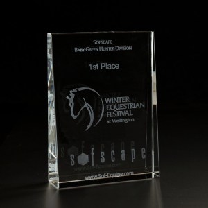3D Crystal Wedge Large Award 1 3D Crystal Wedge Large Award 1