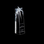 Shooting Star Medium Optically Perfect Award 1 Shooting Star Medium Optically Perfect Award 1