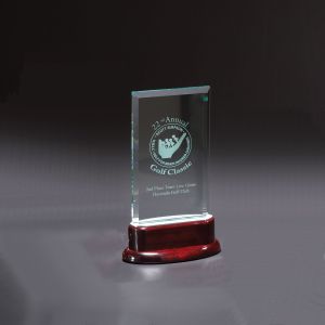 Statute Medium Award 1 Statute Medium Award 1