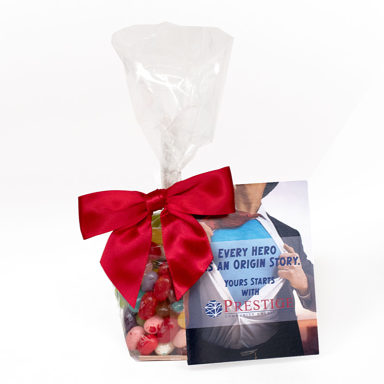 Gift Bag with Printed Card & Rectangle Magnet Premium Fill 1