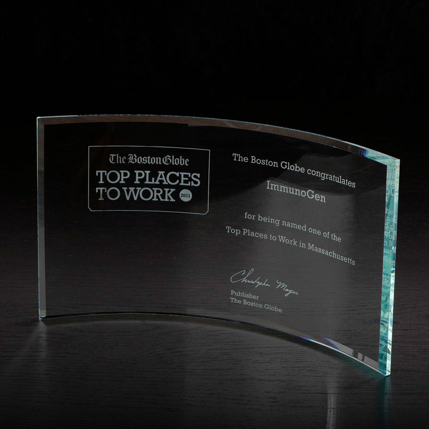 Times Large Glass Award 1 Times Large Glass Award 1
