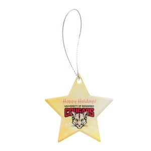 Star Acrylic Ornament 1 Star Acrylic Ornament 1