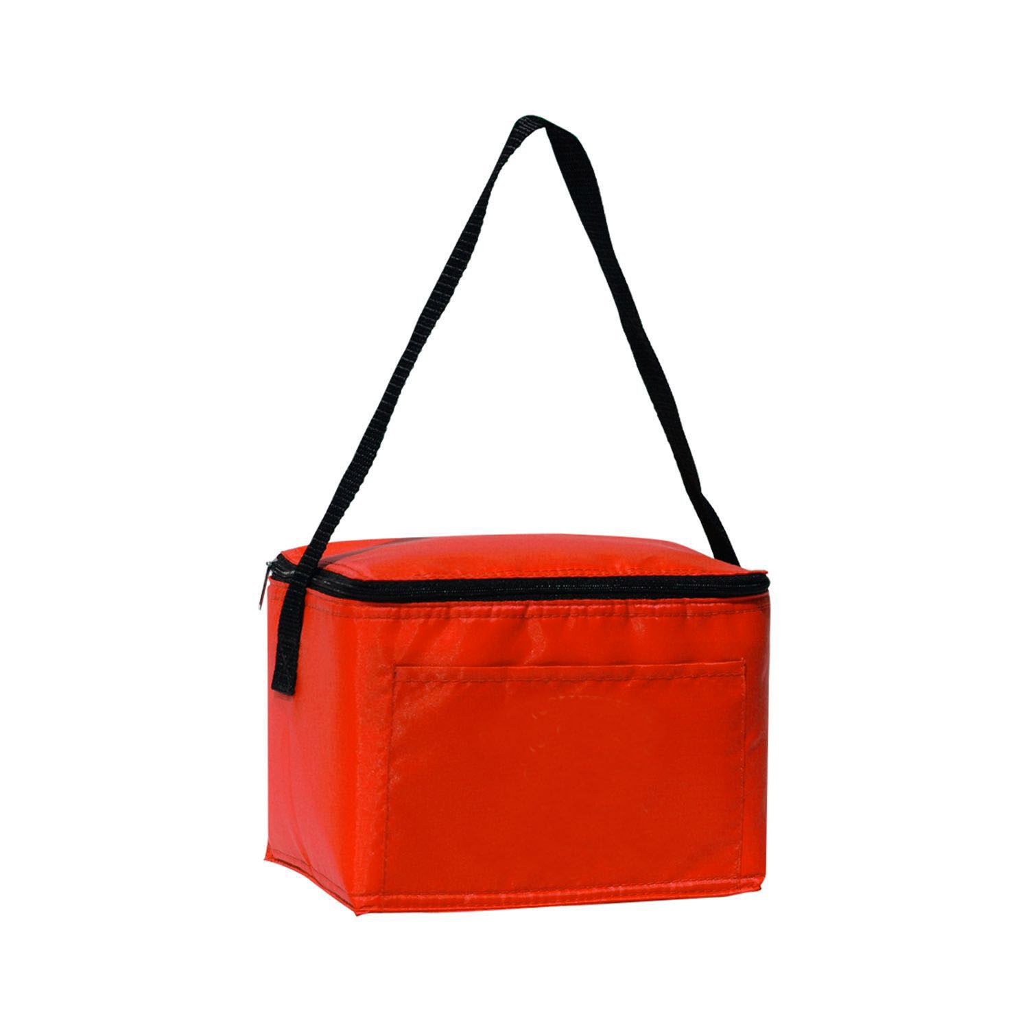 Insulated 6 Pack Cooler 1