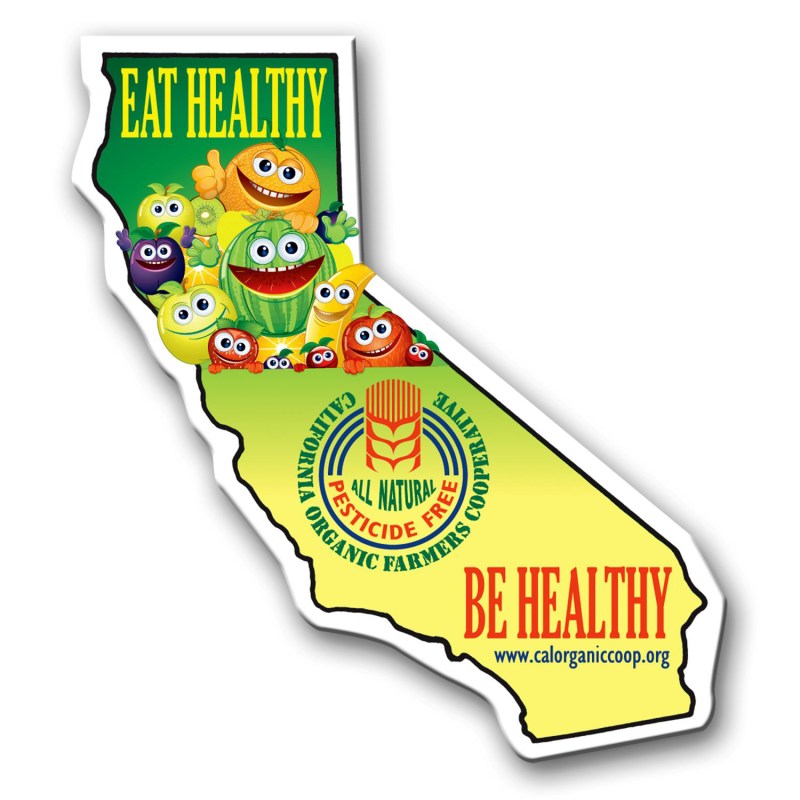 California State Magnet 1 California State Magnet 1