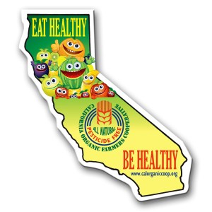 California State Magnet 1 California State Magnet 1