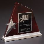 Cassiopeia Star Award 1 Cassiopeia Star Award 1