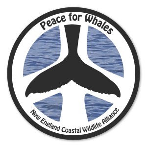 3" Circle Repositionable Label 1 3" Circle Repositionable Label 1