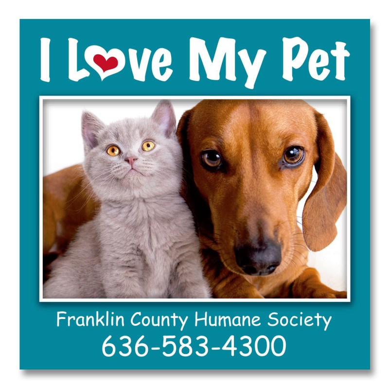 Square Magnet 2-29/32 x 2-29/32 1 Square Magnet 2-29/32 x 2-29/32 1