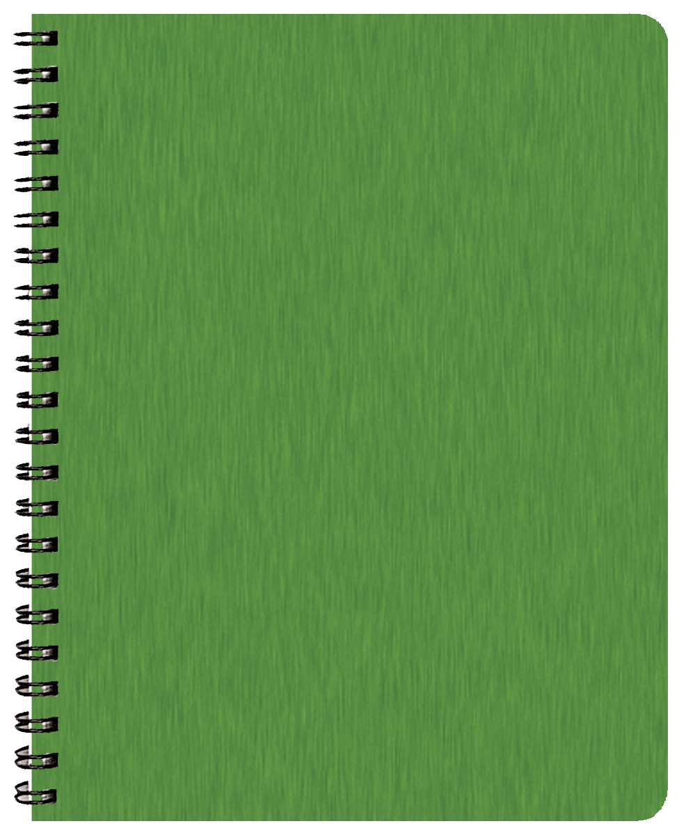 Time:Master Time Management Planner w/ Shimmer Cover 1