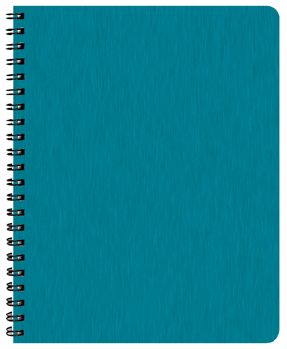 Time:Master Time Management Planner w/ Shimmer Cover 1