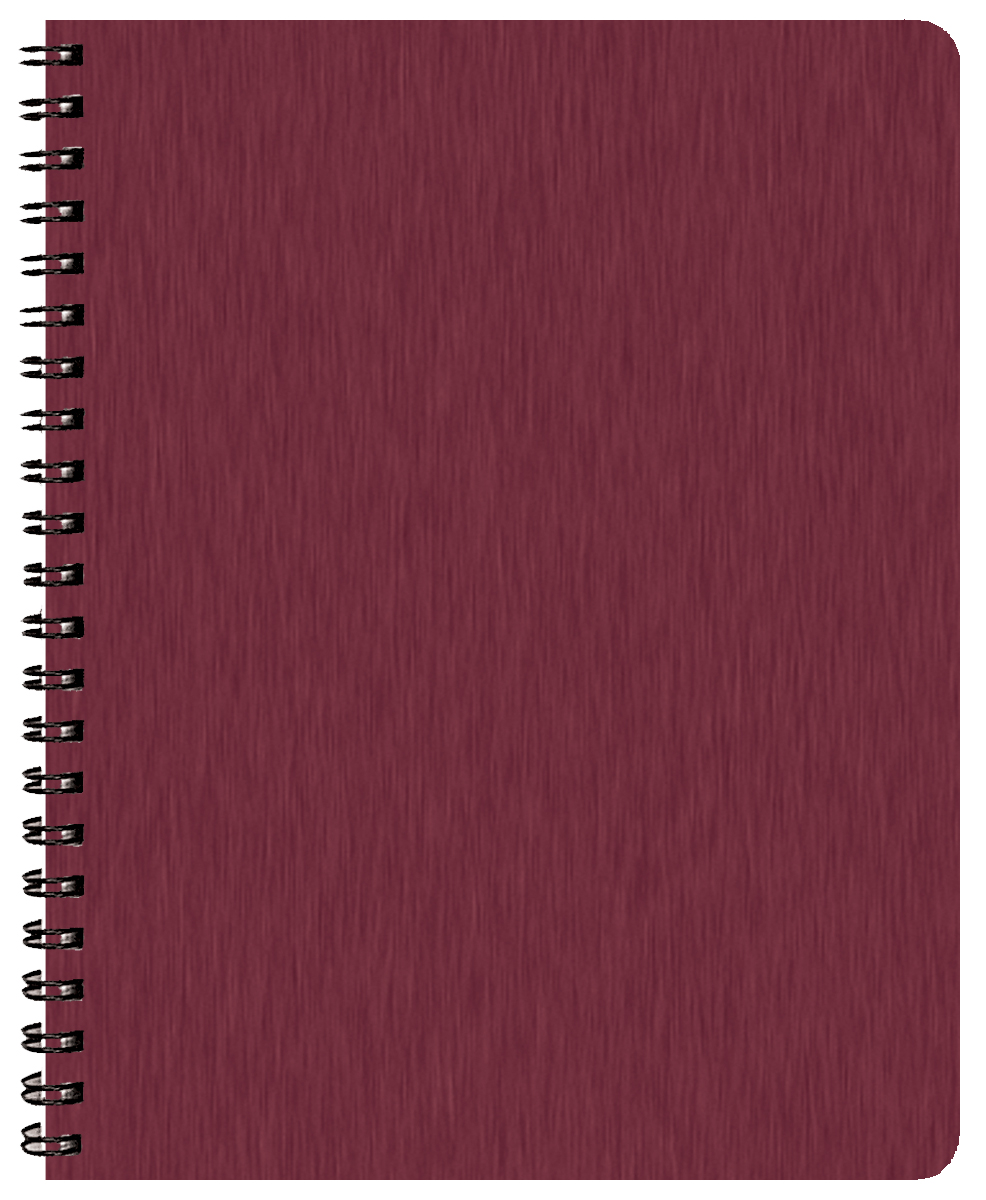 Time:Master Time Management Planner w/ Shimmer Cover 1