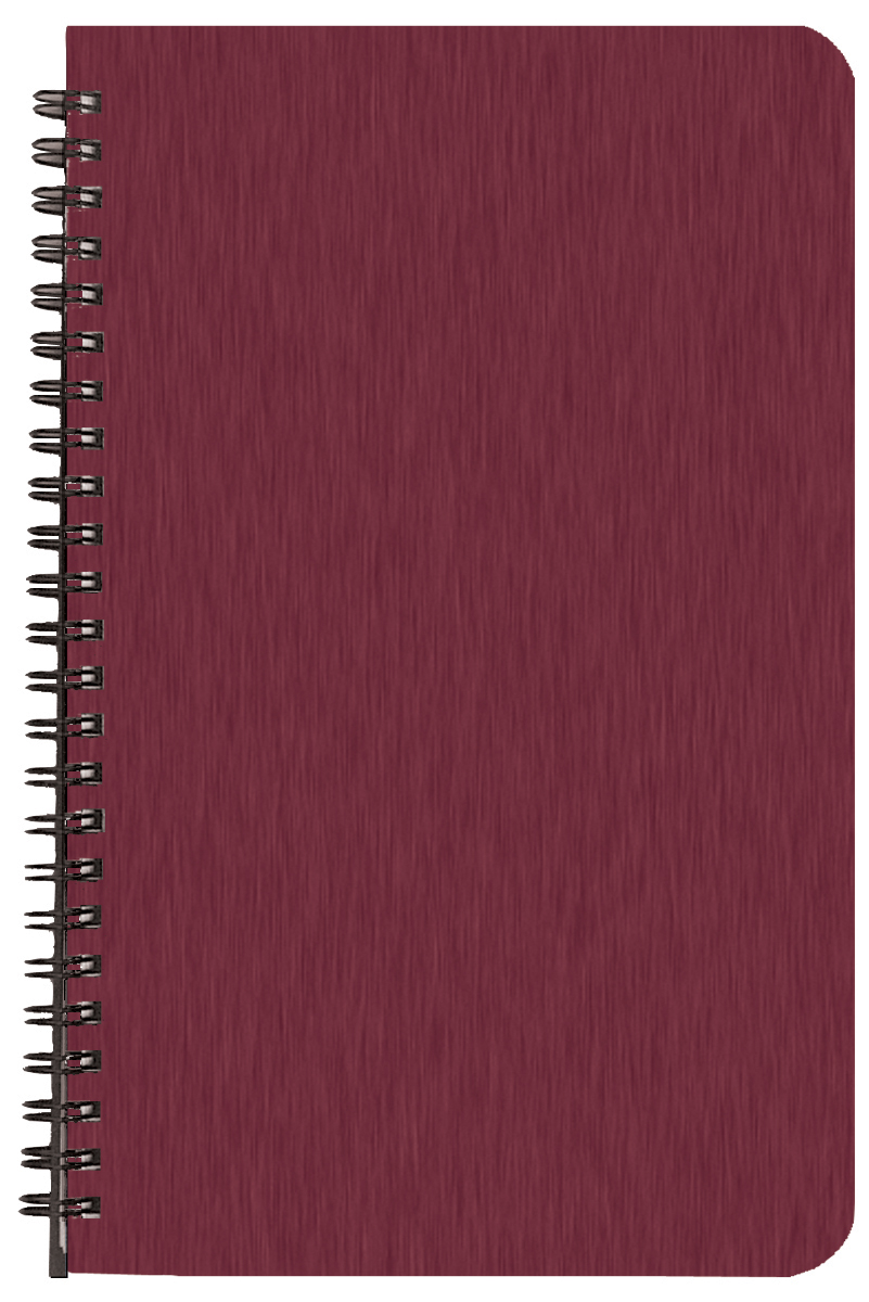 Large Print Weekly Desk Planner w/ Shimmer Cover 1