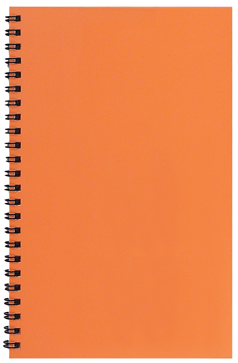 Academic Organizer w/ Technocolor cover 1