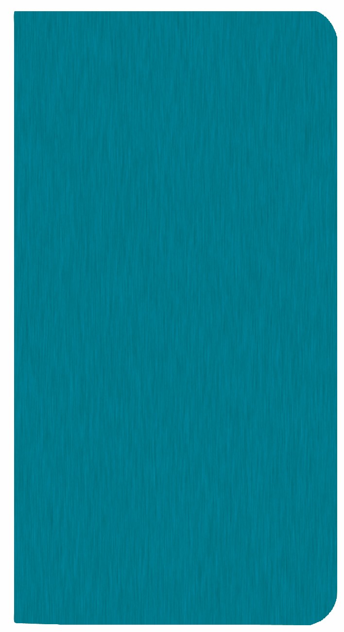 Monthly Pocket Planner w/ Shimmer Cover 1