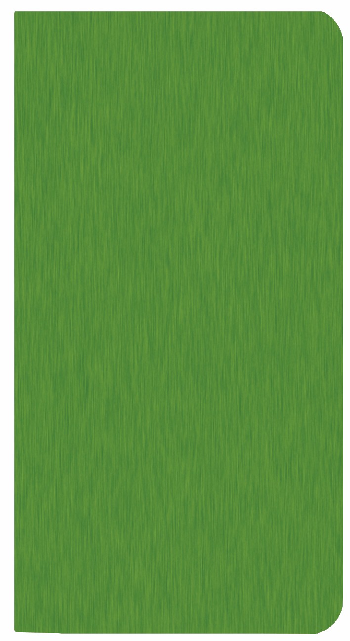 Monthly Pocket Planner w/ Shimmer Cover 1