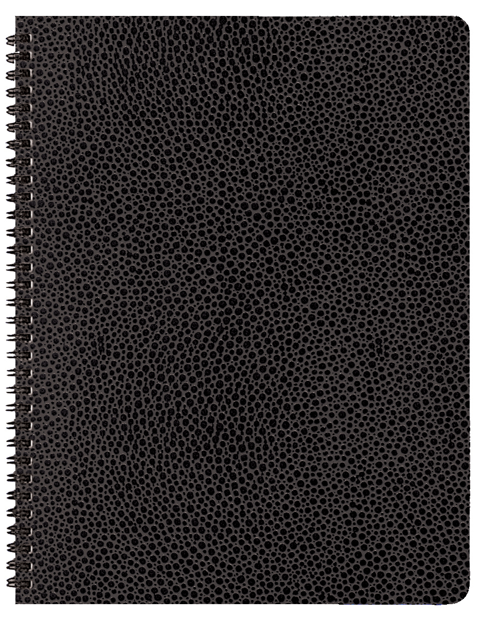 Time Master Time Management Planner w/ Cobblestone Cover 1