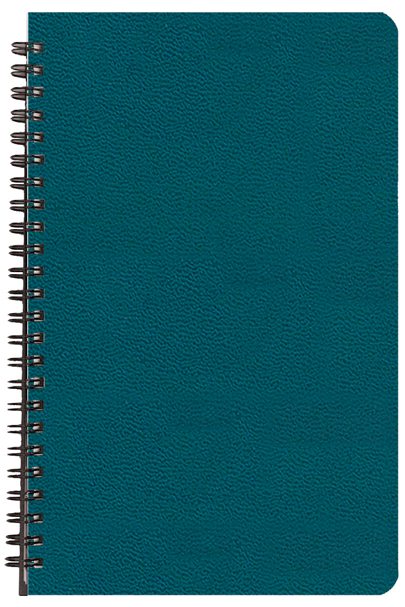 Academic Organizer w/ Leatherette cover 1