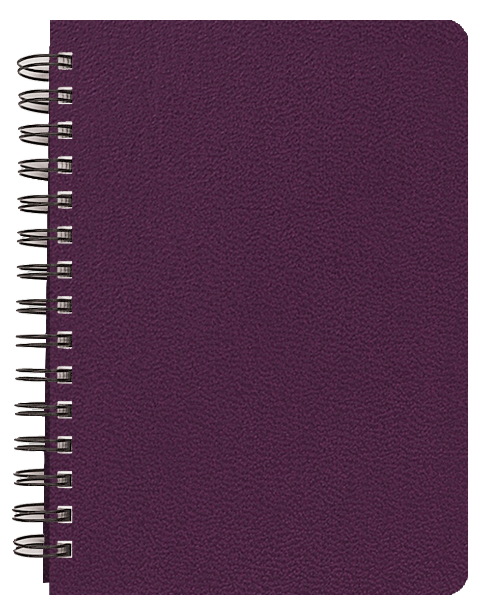 Daily Desk Planner/Leatherette Cover 1