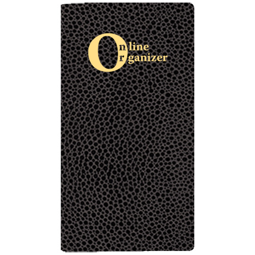 Online Organizer/ Cobblestone Cover 1