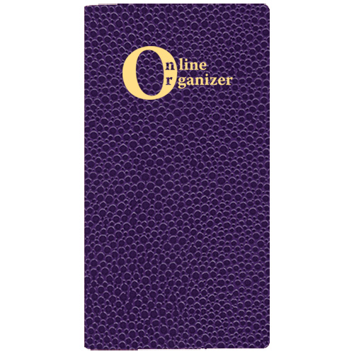 Online Organizer/ Cobblestone Cover 1