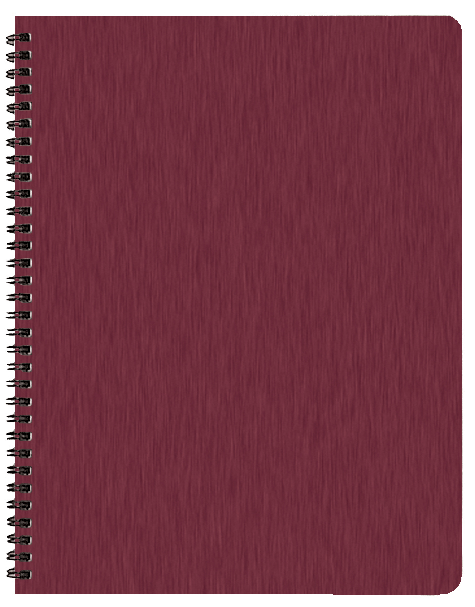 Time Management Planner w/ Shimmer Cover 1