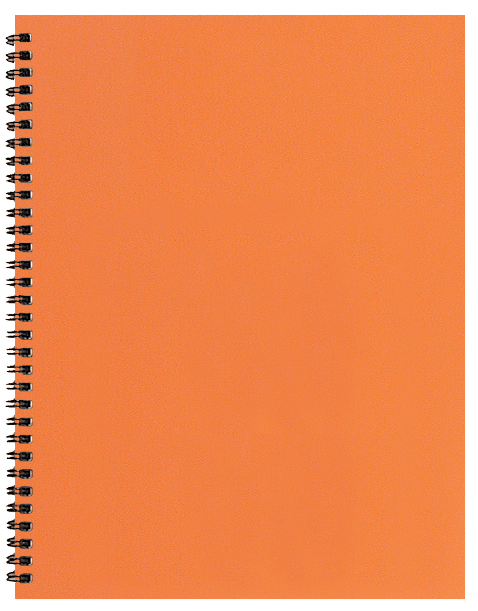Academic Wire Bound Monthly Desk Planner w/ Technocolor Cover 1
