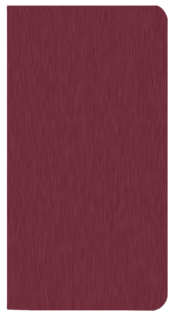 Large Print Monthly Pocket Planner w/ Shimmer Cover 1