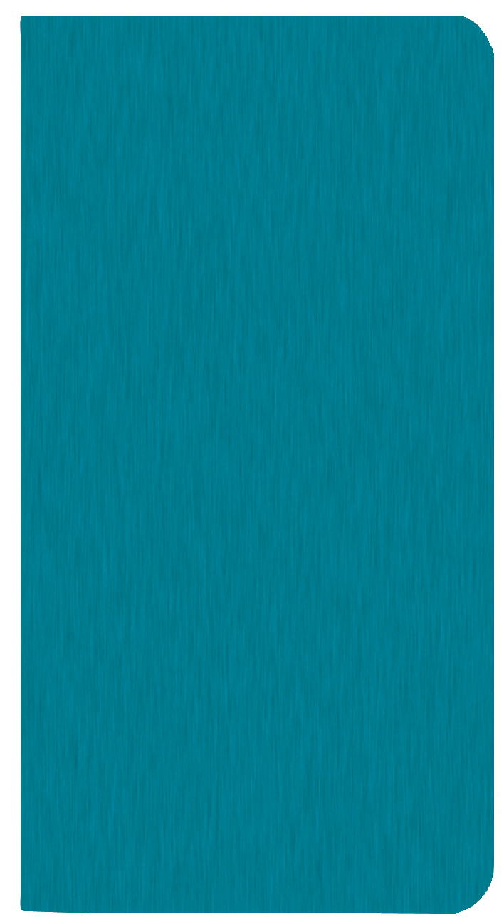 Large Print Monthly Pocket Planner w/ Shimmer Cover 1