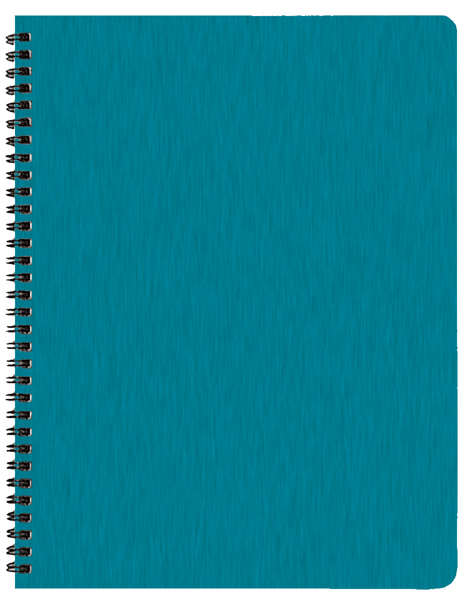 Monthly Desk Appointment Calendar/Planner w/ Shimmer Cover 1