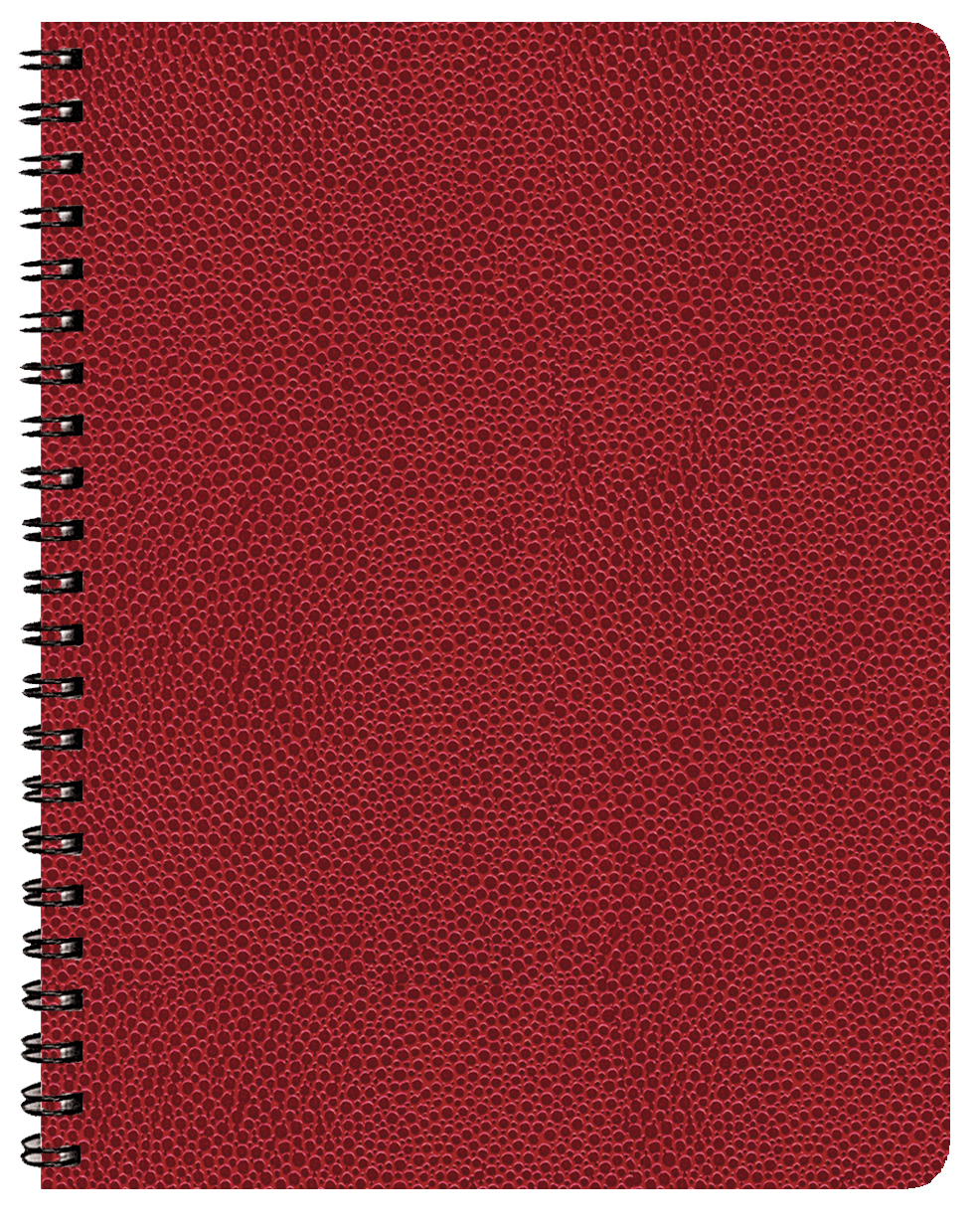 Time:Master Time Management Planner w/ Cobblestone Cover 1