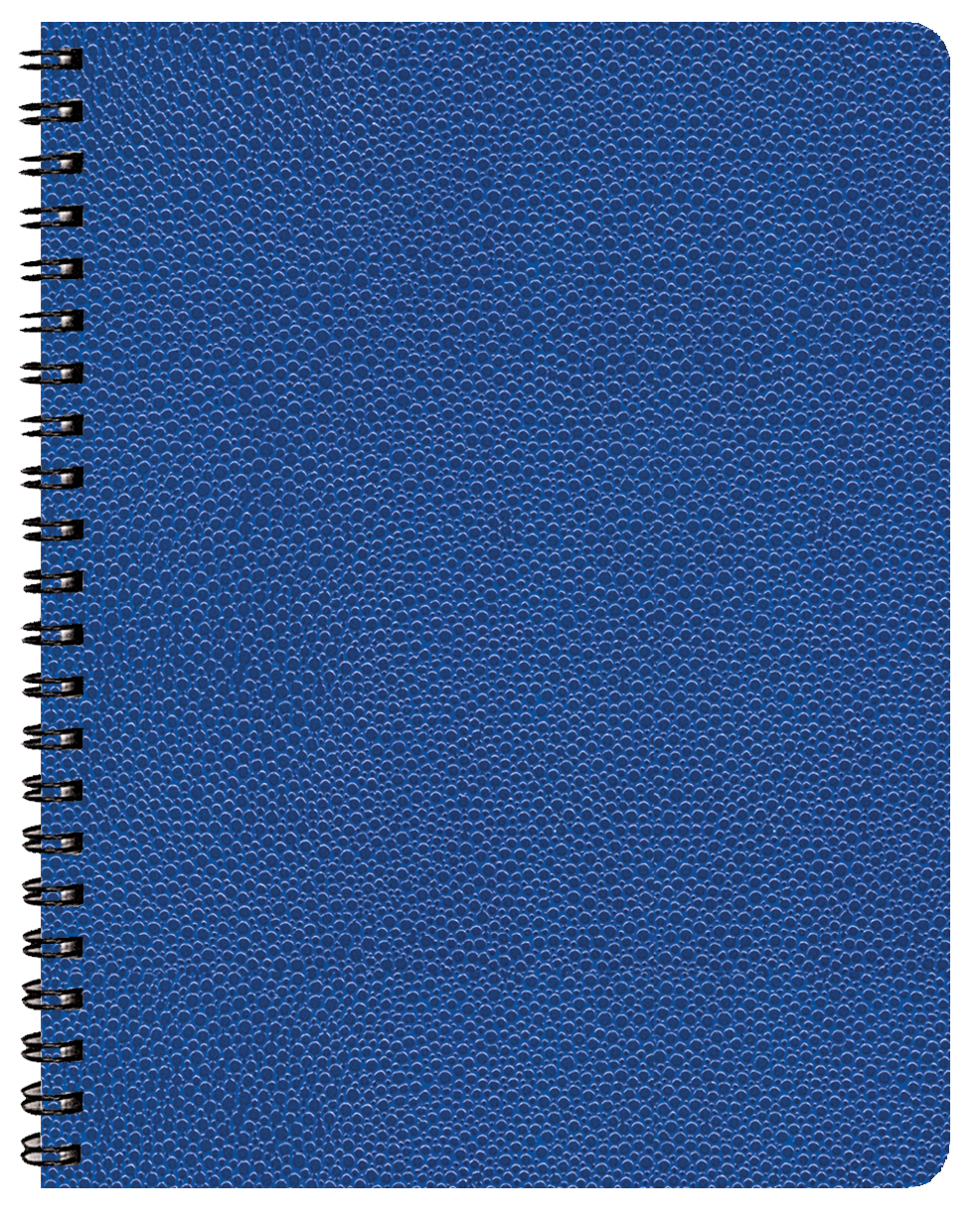 Time:Master Time Management Planner w/ Cobblestone Cover 1